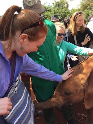 Cassie and others pet a baby elephant